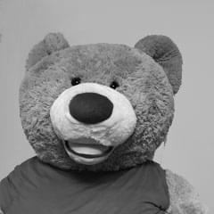 Fons